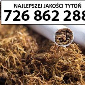 EXTRA Jakości TYTOŃ 85 PLN / 1KG